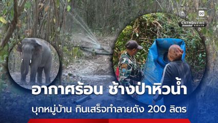อากาศร้อน ช้างป่าหิวน้ำ บุกหมู่บ้าน กินเสร็จทำลายถัง 200 ลิตร