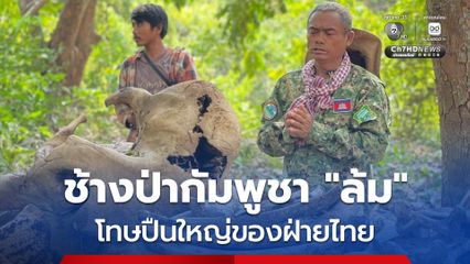 กัมพูชาโทษเป็นฝีมือปืนใหญ่ของไทย ทำช้างป่าล้ม ในเขตรักษาพันธุ์สัตว์ป่าเปร โรกา