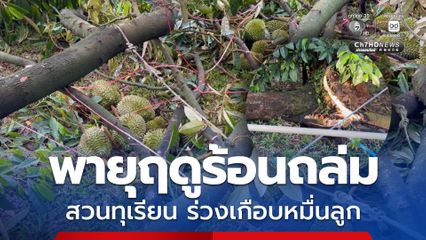 ชาวสวนโอด พายุฤดูร้อนถล่มสวนทุเรียน  ลูกร่วงเกือบหมื่นลูก เตรียมขายปลายเดือนมีนา คาดเสียหายนับล้านบาท