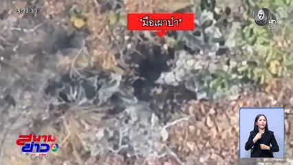 โดรนจับภาพมือเผาป่า