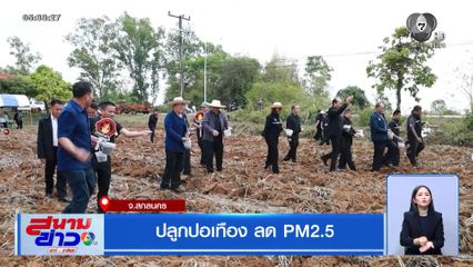 ปลูกปอเทือง ลด PM2.5