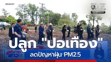 ปลูกปอเทือง ลด PM2.5