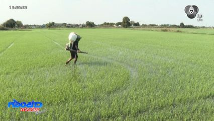 รายงานพิเศษ : ราคาน้ำมันสะเทือนกระดูกสันหลังของชาติ