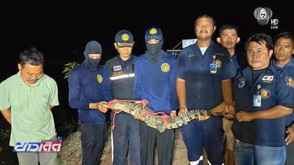 เจอจระเข้ นึกว่าตัวเงินตัวทอง