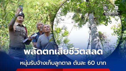 หนุ่มรับจ้างเก็บลูกตาล ต้นละ 60 บาท พลัดตกเสียชีวิตสลด