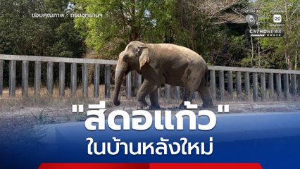 อัปเดตชีวิต สีดอแก้ว ในบ้านหลังใหม่ พร้อมบทเรียน ปรับตัว เพื่อคืนสู่ธรรมชาติอย่างยั่งยืน