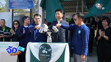 ปลูกกาแฟ แก้เผา