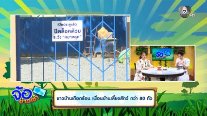 ชาวบ้านเดือดร้อน เพื่อนบ้านเลี้ยงสัตว์ กว่า 80 ตัว