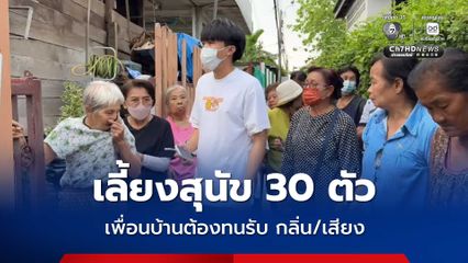 เพื่อนบ้านสุดทน เจ้าเก่าย้ายจากคอนโดฯ มาเกาะเกร็ด เลี้ยงสุนัข 30 ตัว