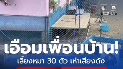 ปัญหาเพื่อนบ้านเลี้ยงหมา 30 ตัว เห่าเสียงดัง