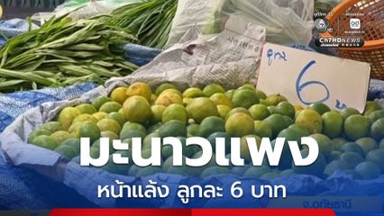 มะนาวแพงลูกละ 6 บาท รับหน้าแล้ง