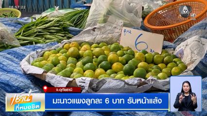 มะนาวแพงลูกละ 6 บาท รับหน้าแล้ง