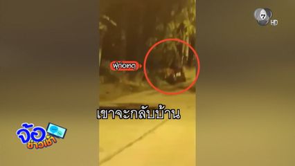 โจ๋ผงะ ! สาวนิรนามลวงเข้าป่า โชว์ของลับ เหยื่อตกใจวิ่งหนีเตลิด