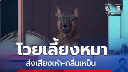 โวยเลี้ยงหมา 30 ตัว ส่งเสียงเห่า-กลิ่นเหม็น จ.นนทบุรี