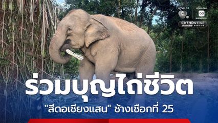 พระครูอ๊อดรับช้างเชือกที่ 25 “สีดอเชียงแสน”