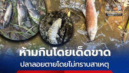 ห้ามกินโดยเด็ดขาด ปลาลอยตายโดยไม่ทราบสาเหตุ