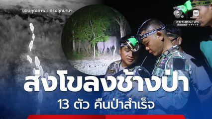 สนธิกำลังเฝ้าระวังเข้ม ใช้โดรนติดตามโขลงช้างป่า 13 ตัว ส่งคืนป่าสำเร็จ