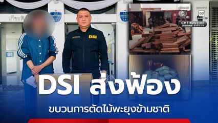 DSI ส่งฟ้อง ขบวนการตัดไม้พะยุงข้ามชาติ เสียหายกว่า 300 ล้าน
