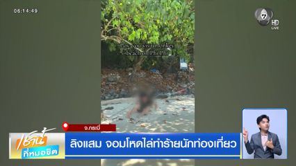 ลิงแสม จอมโหดไล่ทำร้ายนักท่องเที่ยว