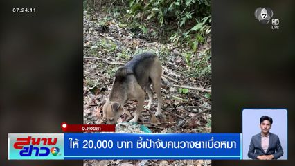 ให้ 2 หมื่นบาท ชี้เป้าจับคนวางยาเบื่อหมา บนเขาคอหงส์ ตายเกลื่อนกว่า 30 ตัว