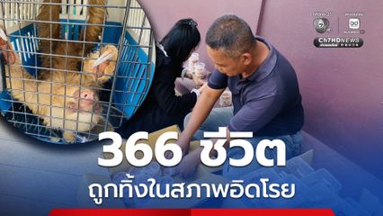 Exotic Pets 366 ชีวิต ถูกทิ้งกลางป่าอ้อย ในสภาพอิดโรย