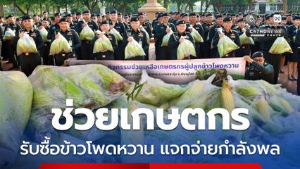 ข้าวโพดหวานล้นตลาด กองทัพภาคที่ 3 ช่วยรับซื้อจากเกษตรกร