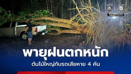 พายุฝนตกหนัก ต้นไม้ใหญ่โค่นล้มทับรถเก๋งและกระบะเสียหาย 4 คัน โชคดีไม่มีผู้ได้รับบาดเจ็บ