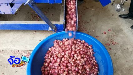 ประสานห้างฯ ช่วยรับซื้อพืช 3 หัว 6,500 ตัน