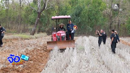 ปลูกปอเทือง ลด PM2.5