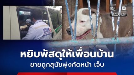 คุณยายหวังดีหยิบพัสดุให้เพื่อนบ้าน เจอสุนัขพุ่งกัดหน้าเลือดอาบ ชาวบ้านช่วยกันแยกตัวส่งโรงพยาบาล