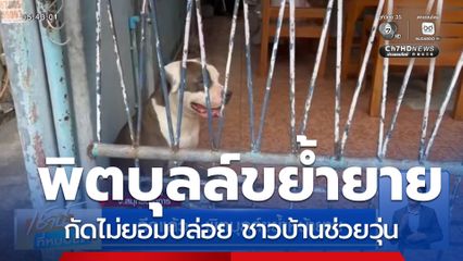 อีกแล้ว ! พิตบุลล์ขย้ำหน้ายาย