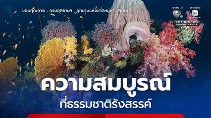 West of Eden ความสมบูรณ์ที่ธรรมชาติรังสรรค์ ณ อุทยานแห่งชาติหมู่เกาะสิมิลัน