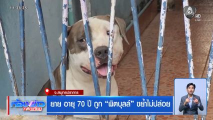 ยาย อายุ 70 ปี ถูก พิตบุลล์ ขย้ำไม่ปล่อย