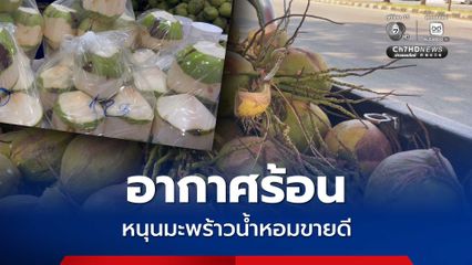 อากาศร้อน ดันยอดขาย "มะพร้าวน้ำหอม" ขายดียอดพุ่งวันละเกือบ 1,000 ลูก