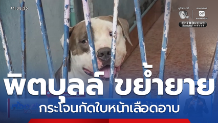 ยาย อายุ 70 ปี ถูก พิตบุลล์ ขย้ำไม่ปล่อย