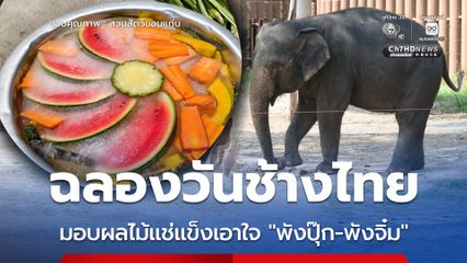 ฉลองวันช้างไทย  มอบผลไม้แช่แข็งเอาใจ “พังปุ๊ก-พังจิ๋ม”