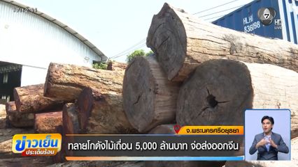 ทลายโกดังไม้เถื่อน 5,000 ล้านบาท จ่อส่งออกจีน