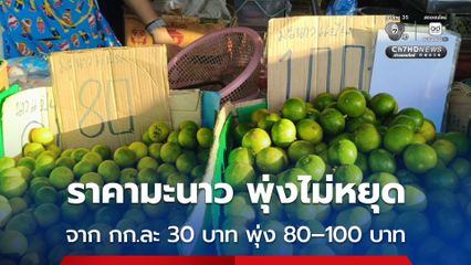ราคามะนาวในตลาดท่ากลาง จ.ตรัง จากกิโลกรัมละ 30 บาท พุ่งแตะ 80–100 บาท