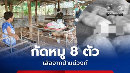 เสือจากป่าแม่วงก์ บุกเล้าหมูกัดหมูตาย 8 ตัว บาดเจ็บ 3 ตัว