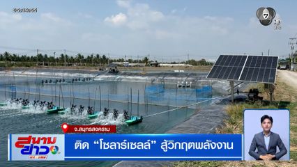 ผู้เลี้ยงกุ้ง เปลี่ยนมาติด "โซลาร์เซลล์" สู้วิกฤติพลังงาน