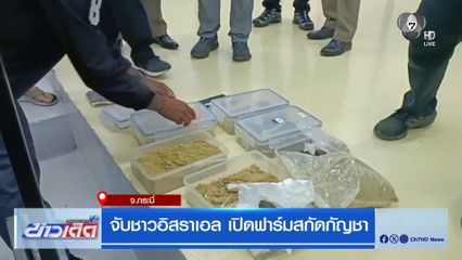 จับชาวอิสราเอล เปิดฟาร์มสกัดกัญชา