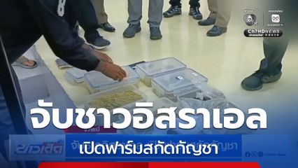 จับชาวอิสราเอล เปิดฟาร์มสกัดกัญชา