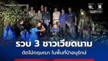 ทีมเจ้าหน้าที่รวบแก๊งชาวเวียดนาม 3 คน ลักลอบตัดไม้กฤษณา ในพื้นที่ป่าอนุรักษ์เพชรบูรณ์