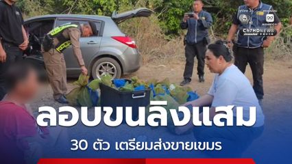 ปทส.รวบขบวนการ ค้าลิงข้ามชาติ  ลอบขน “ลิงแสม” กว่า 30 ตัว เตรียมส่งขายชายแดนเขมร พบตายบางส่วน เพราะทน อากาศร้อนไม่ไหว