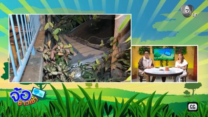 หนีไม่พ้น ! พกยาบ้าฝ่าจุดตรวจ พุ่งชนกำแพง