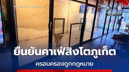 สบอ.5 ยืนยันคาเฟ่สิงโตภูเก็ต ครอบครองถูกต้องตามกฎหมายและดูแลสวัสดิภาพสัตว์ตามมาตรฐาน
