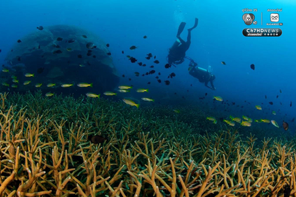 “เกาะโลซิน” จ.ปัตตานี อัญมณีแห่งท้องทะเลอ่าวไทย