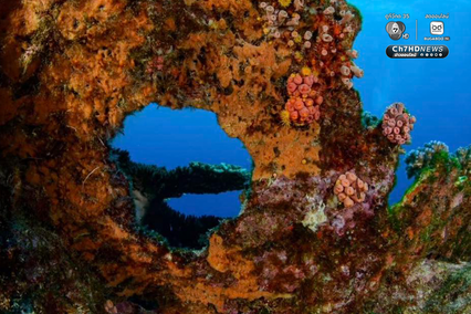 “เกาะโลซิน” จ.ปัตตานี อัญมณีแห่งท้องทะเลอ่าวไทย