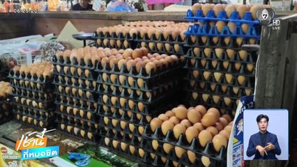 แห่กักตุนไข่ไก่ จ.อุทัยธานี