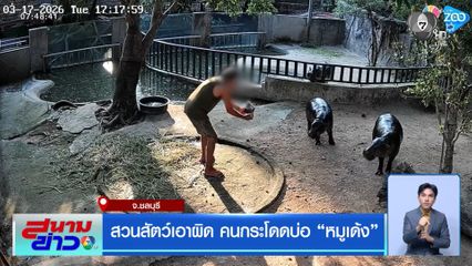 สวนสัตว์เอาผิด คนกระโดดบ่อ “หมูเด้ง”